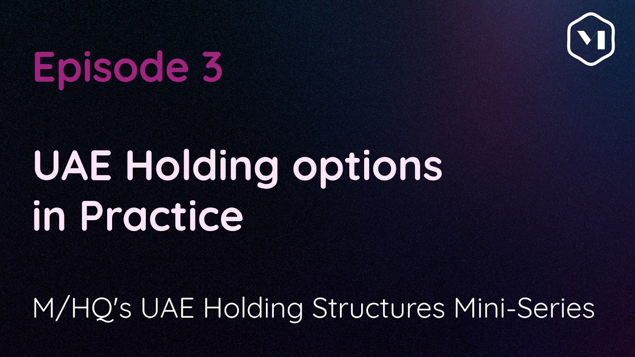Episode 3 − UAE Holdings in practice